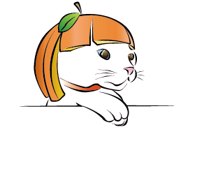 橘貓攝影